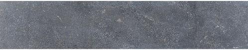 Asian Bluestone vijverrand 3x20x100cm Blauw gezoet