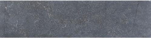 Asian Bluestone vijverrand 3x25x100cm Blauw gezoet