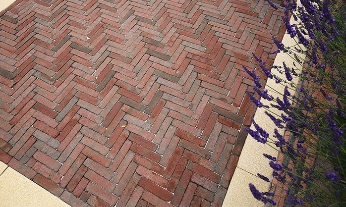 Art Bricks Waalformaat 5x20x6cm Bosch Rood/Paars