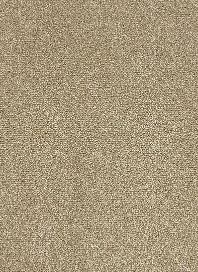Da vinci 91